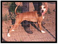 blessing.jpg (7343 bytes)